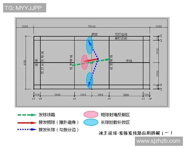 西安羽毛球队整体压制战术解析与实战应用探讨