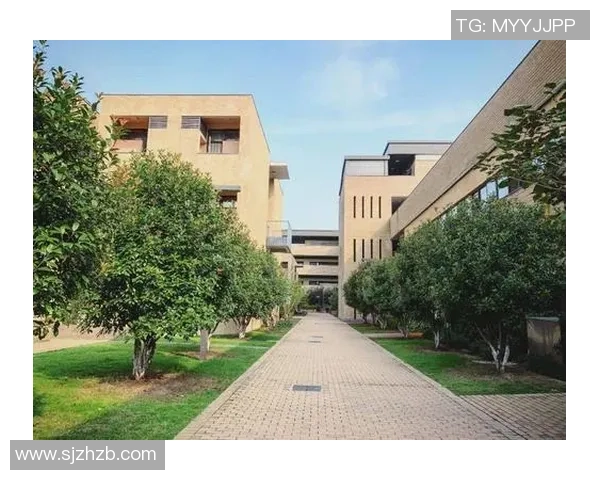 重庆网球队在钻石联赛中的崛起与成长历程全景回顾